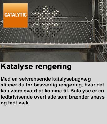Katalyse_rengoering