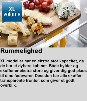 Rummelighed